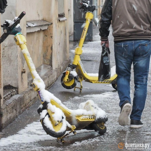 Источник: Михаил Огнев / FONTANKA.RU 