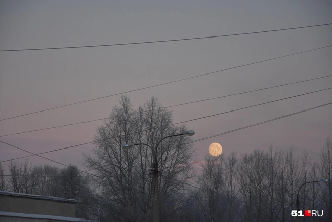 Пострадавших нет | Источник: Александра Балаба / 51.RU