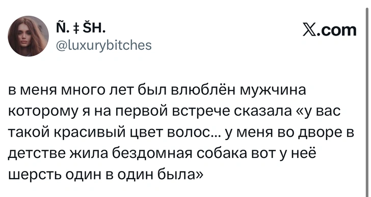 Источник: X (Twitter)