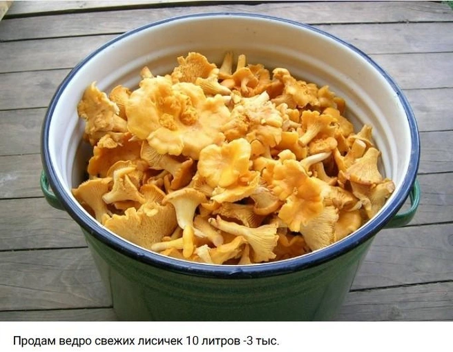 Источник: Мой Рынок (Продам Куплю Отдам) / Vk.com