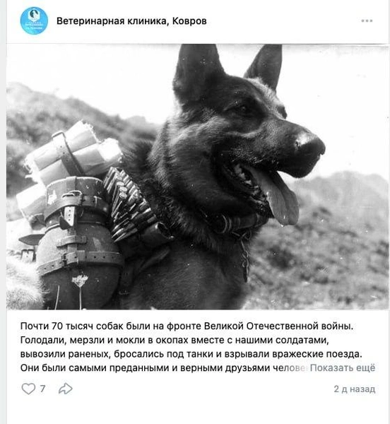 Источник: ВКонтакте