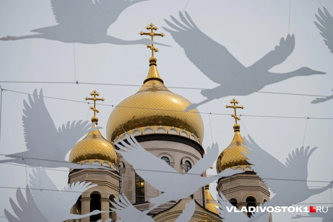 Источник: Елена Буйвол / VLADIVOSTOK1.RU