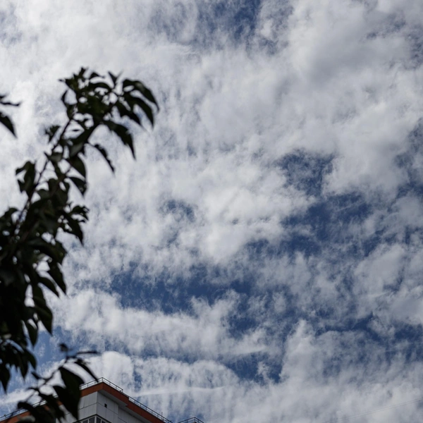 День на снимке кажется вечером | Источник: Алексей Сапицкий