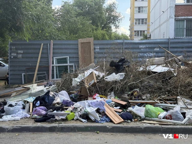 Со слов жителей, от свалки не могут избавиться больше месяца | Источник: читатели V1.RU