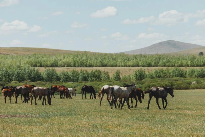 Источник: Сергей Бумагин