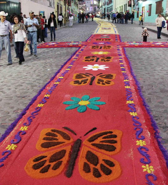 Возвращение в Эдем: как миграция бабочек монархов прославила мексиканский город Ангангуэо