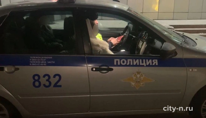 Источник: www.city-n.ru