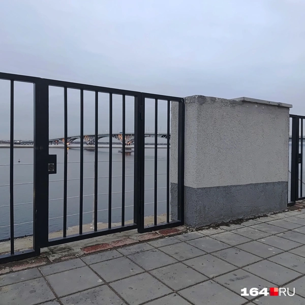 Источник: Сергей Гендин / 164.RU