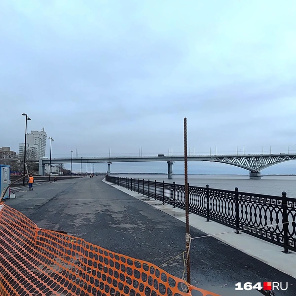 Источник: Сергей Гендин / 164.RU