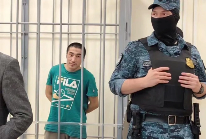 Приезжего, обезглавившего в Москве двух мужчин, отправили в психбольницу | Источник: Суды общей юрисдикции города Москвы