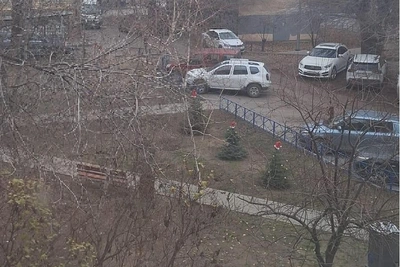 Подростки украли шапки Деда Мороза с волгоградских сосен