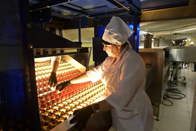 Хабаровские птицефабрики завоевали 11 золотых медалей