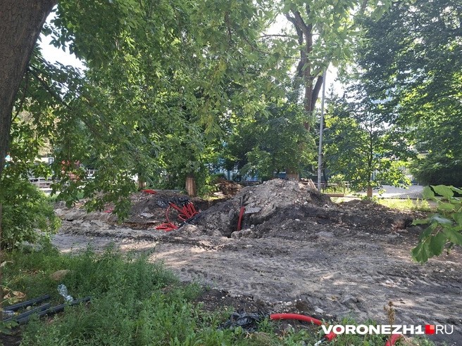 Источник: Алёна Воропаева / Voronezh1.ru