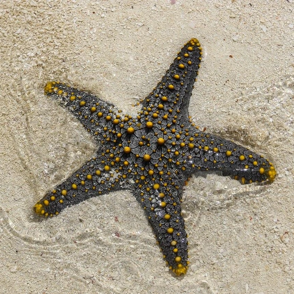 Источник: личный архив Натальи Бурухиной