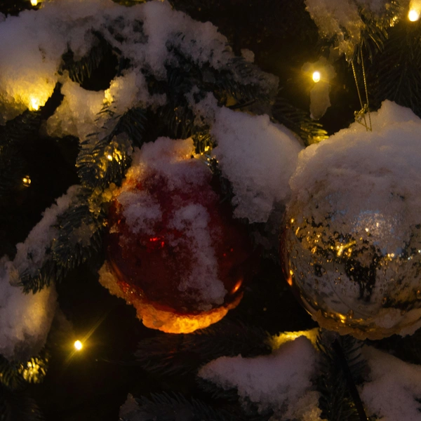 Настоящий снег — чудо для новогоднего Сочи | Источник: Оксана Витязь