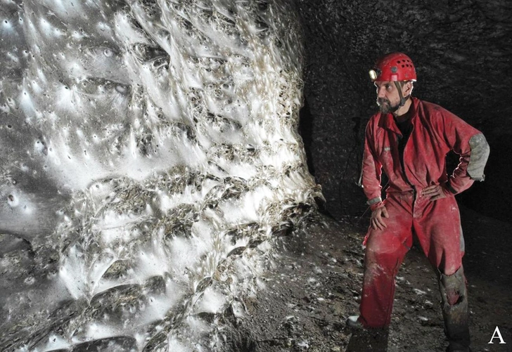 Как три хрущевки: балканские пауки сплели самую большую паутину на Земле и живут там в мире и согласии