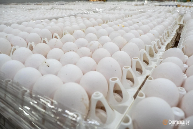 На снижение цен повлияли несколько факторов  | Источник: Михаил Огнев / Fontanka.ru