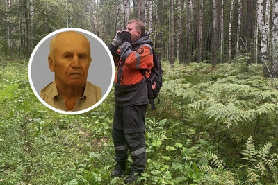Пропавшего в лесу пенсионера ищут в Тюменской области