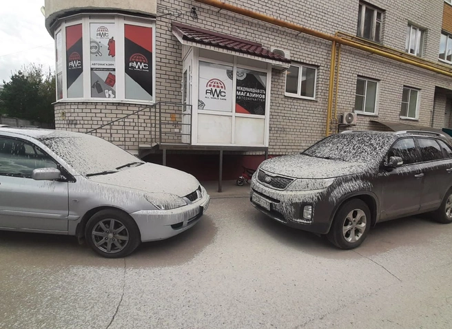 Из рязанской многоэтажки выкинули строительную смесь на припаркованные автомобили | ya62.ru