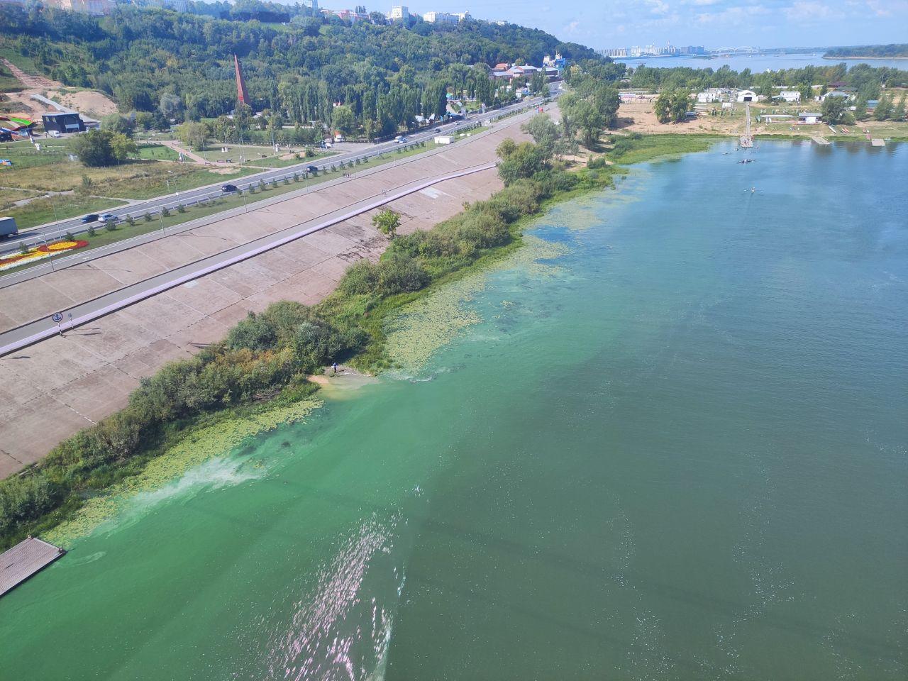 Новое нижегородское море? Вода на Гребном канале внезапно позеленела — спросили у эколога, что происходит