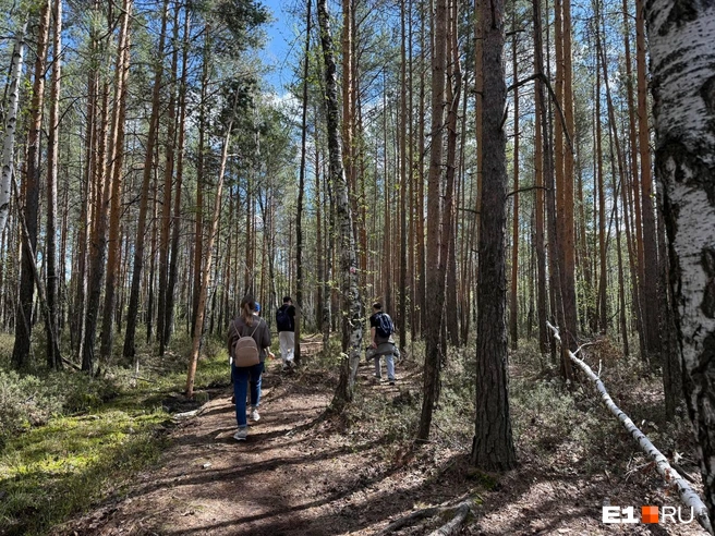 Местами тропы были не самые ровные | Источник: Дарья Костомина / E1.RU