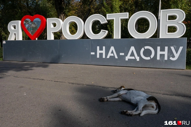 Источник: Евгений Вдовин / 161.RU 