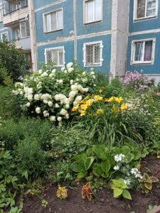 Заявки на участие будут приниматься до 15 августа районными комиссиями | Источник: kuzrab.ru