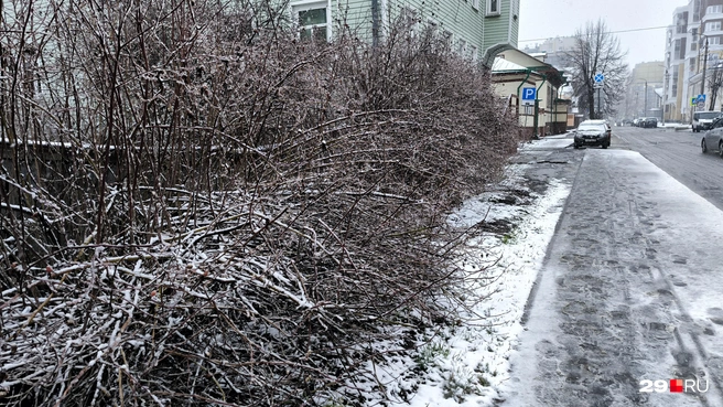 Источник: Юрий Скородумов / 29.RU