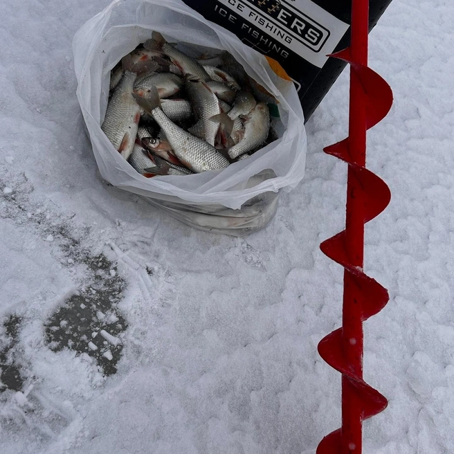 Источник: Игорь Зинченко / Vk.com