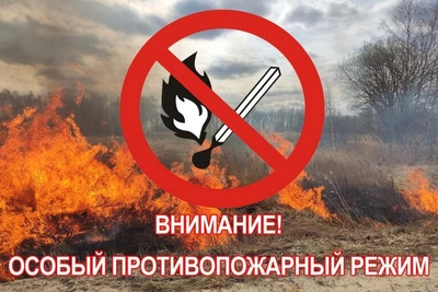 В Ульяновской области ввели особый противопожарный режим
