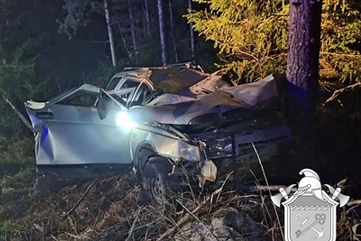 В Приозерском районе ВАЗ врезался в дерево после удара с лосем
