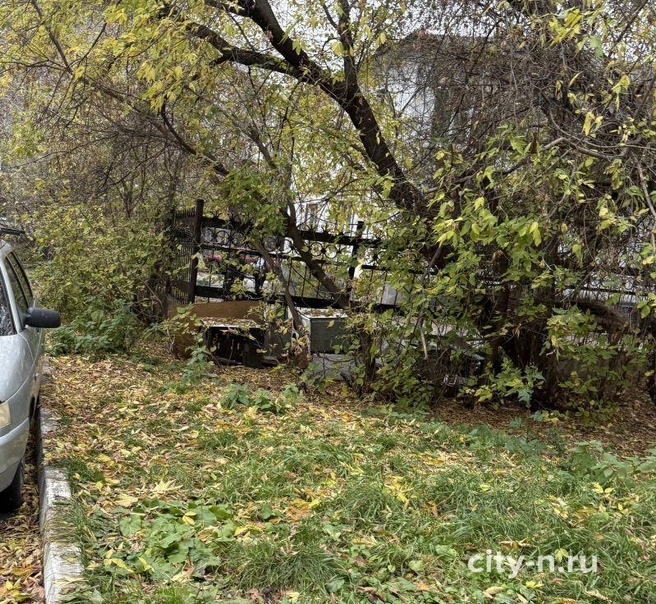 Источник: www.city-n.ru