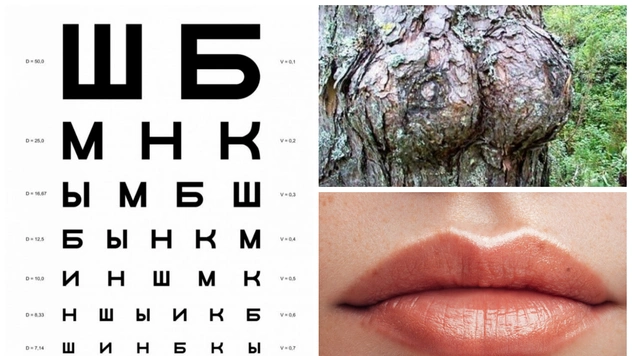 10 знакомых всем вещей, чьи названия знает не каждый