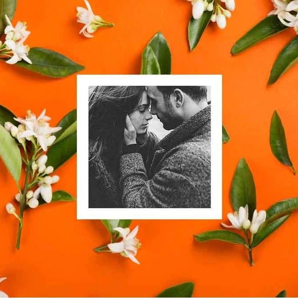 Что принесет Ретроградный Меркурий в ноябре 2025 знакам зодиака: любовный гороскоп🍁 | Источник: Iryna Denysova/Shutterstock/Fotodom.ru