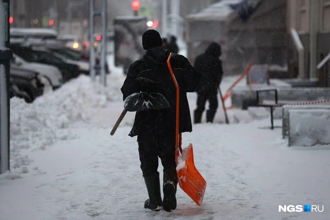 Источник: Александр Ощепков / NGS.RU