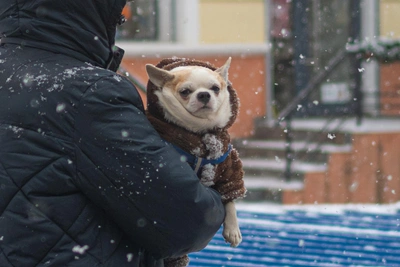 На выходные в Саратовской области ожидается дождливая и ветреная погода
