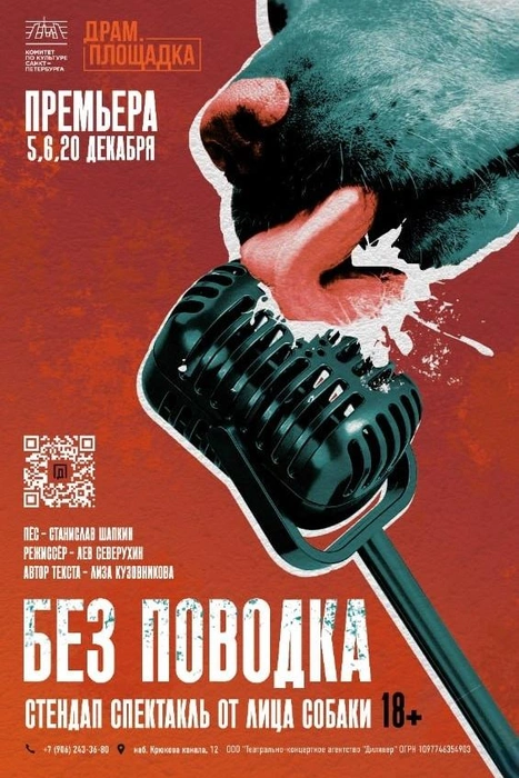 На «Драм. Площадке» покажут стендап от лица собаки | Источник: vk.com/dram.ploshadka