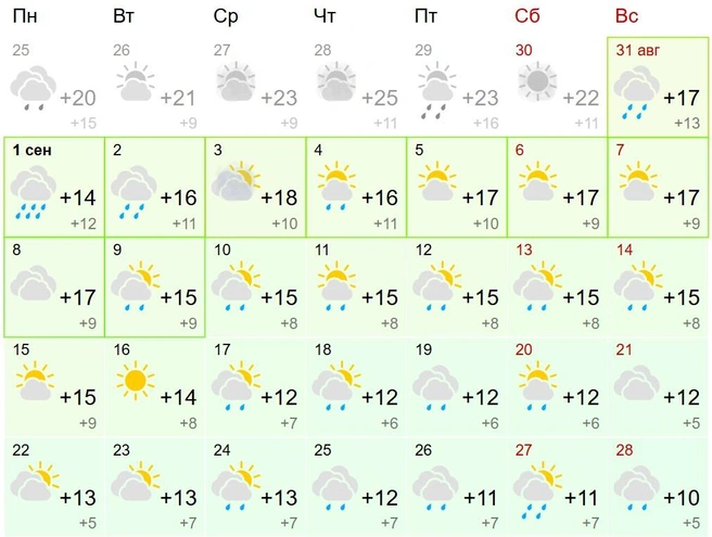 Сервис предупреждает о частых осадках | Источник: gismeteo.ru