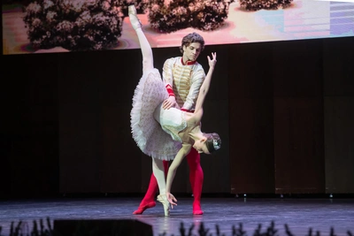 Звезды Большого театра выступили в Новосибирской филармонии