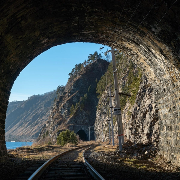 Источник: Tilpunov Mikhail/Shutterstock/Fotodom.ru