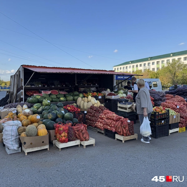 Источник: Юлия Король / 45.RU