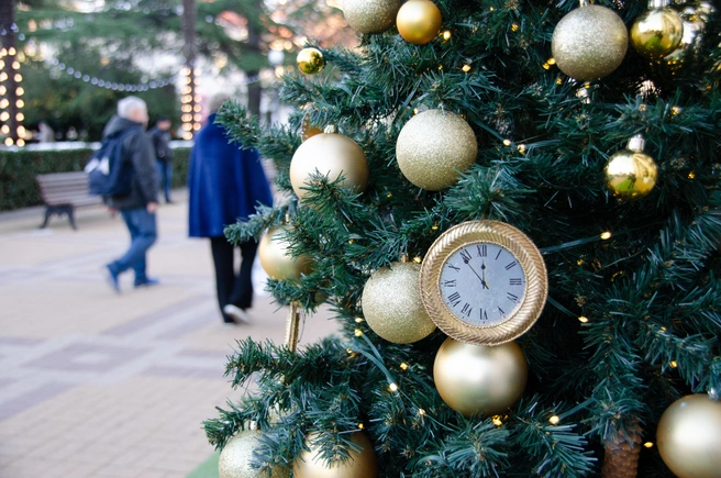 Возле елок тоже масса желающих сделать фото  | Источник: Оксана Витязь / SOCHI1.RU