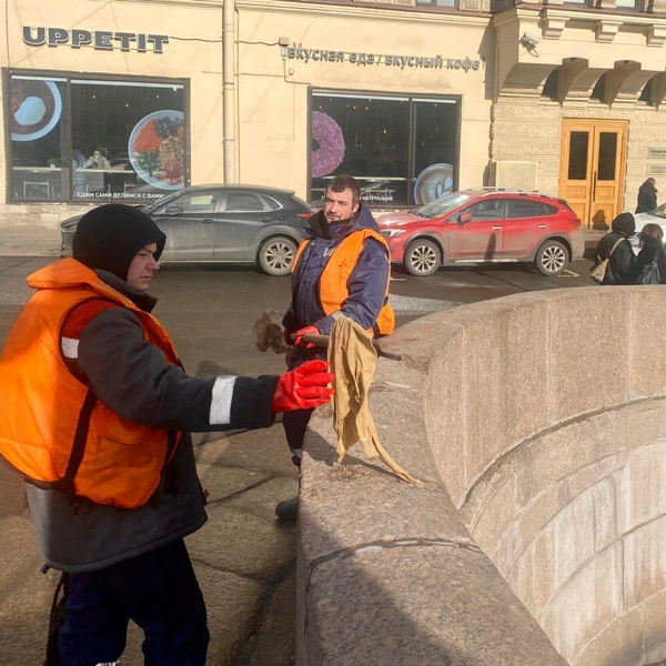 Источник: СПб ГБУ «Экострой»