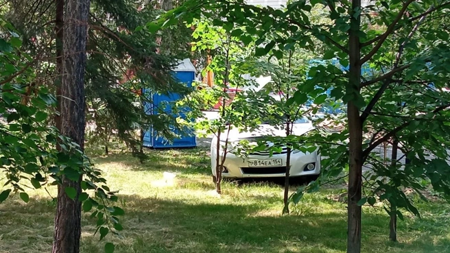 Toyota спряталась среди зелени. Но номер все равно видно | Источник: читательница НГС