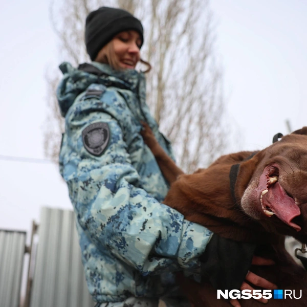 Тогда же наши корреспонденты познакомились со служебными собаками. Посмотрите, какой очаровательный пес! | Источник: Евгений Софийчук / NGS55.RU