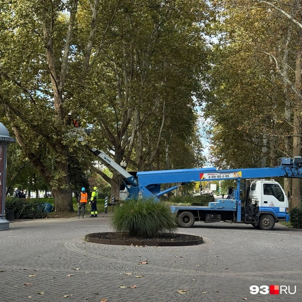 Работы только начались | Источник: Дарья Паращенко / 93.RU