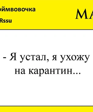 Лучшие шутки про самоизоляцию Владимира Путина