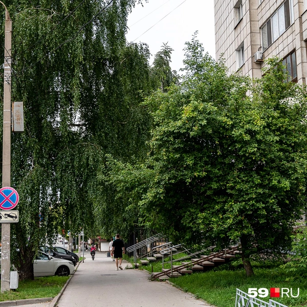 Тротуары утопают в зелени | Источник: Василина Любимова / 59.RU