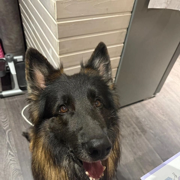 Источник: Татьяна Чивотина