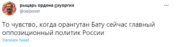 Лучшие шутки про орангутана Бату, из-за которого в Новосибирске разразился политический скандал